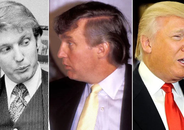 Donald Trump hair 5 donald trump hair