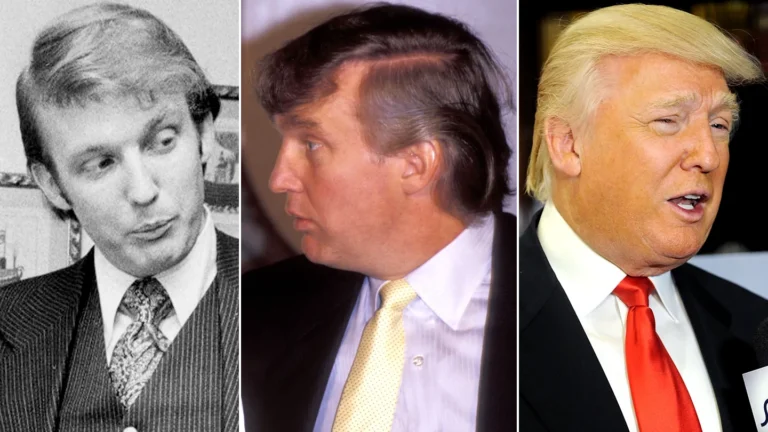 donald trump hair