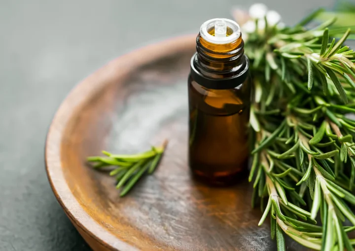 Best Rosemary Oil for Hair Growth Recipe: DIY Guide & Benefits 1 rosemary oil for growth
