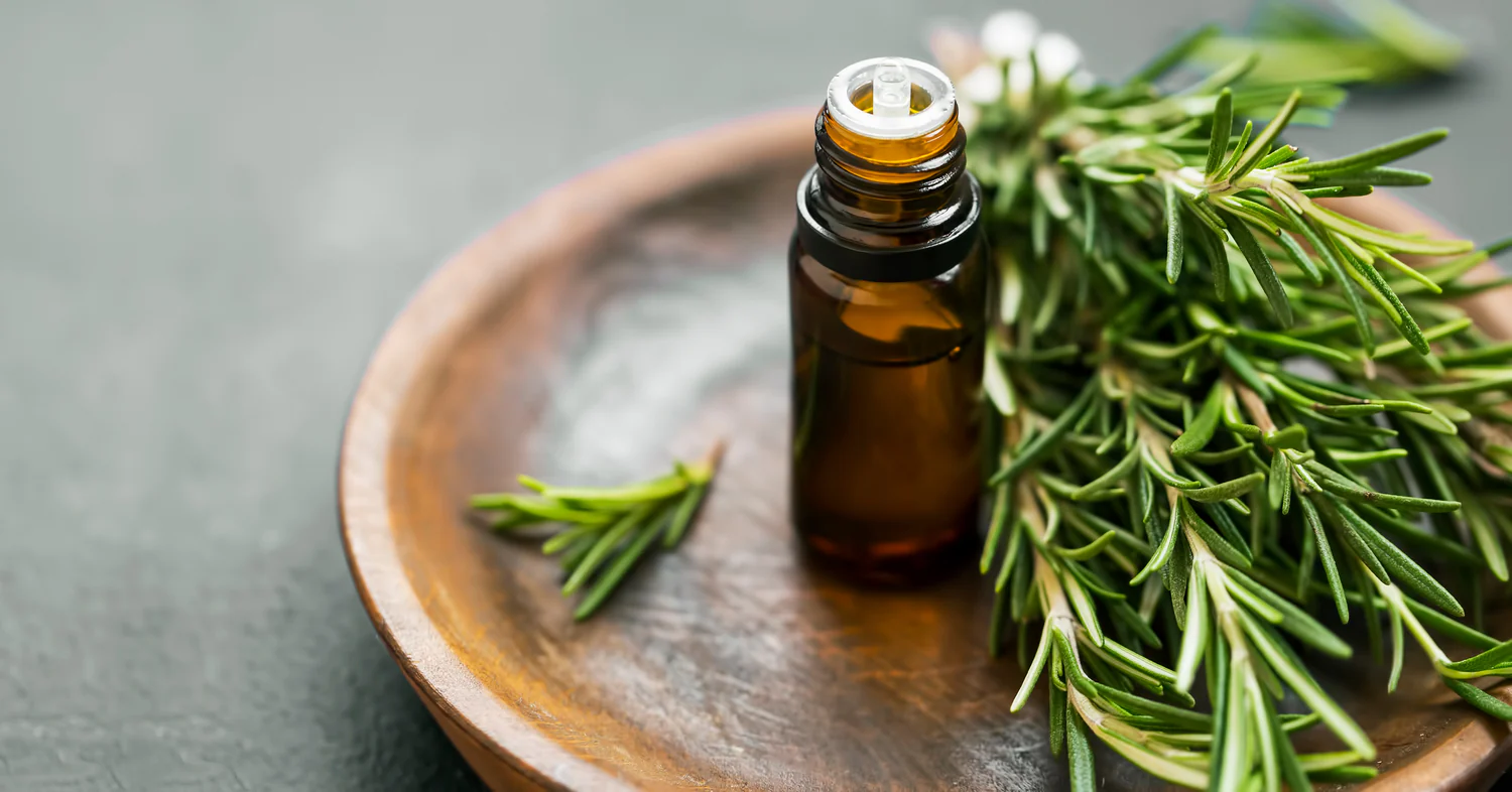 rosemary oil for growth