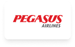 Pegasus Hermest