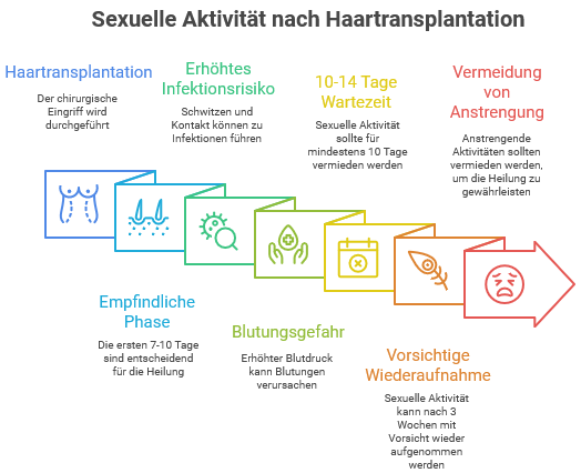 Infografik mit dem Titel „Sexuelle Aktivität nach Haartransplantation“. Sie zeigt eine zeitliche Abfolge in farbigen Kästchen von links nach rechts.