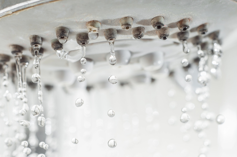 Does Hard Water Cause Hair Loss? Causes, Signs & Treatment 2 does hard water cause hair loss