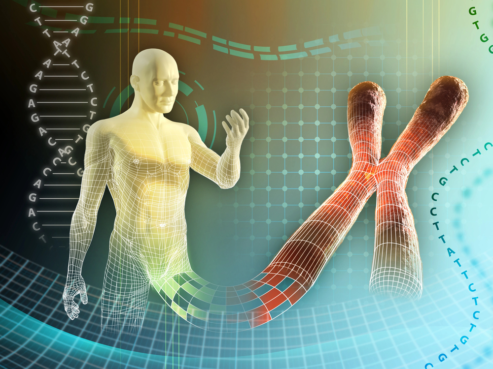 Hair Loss From Dad or Mom? Genetics Explained Clearly 3 The role of the X chromosome in hair loss