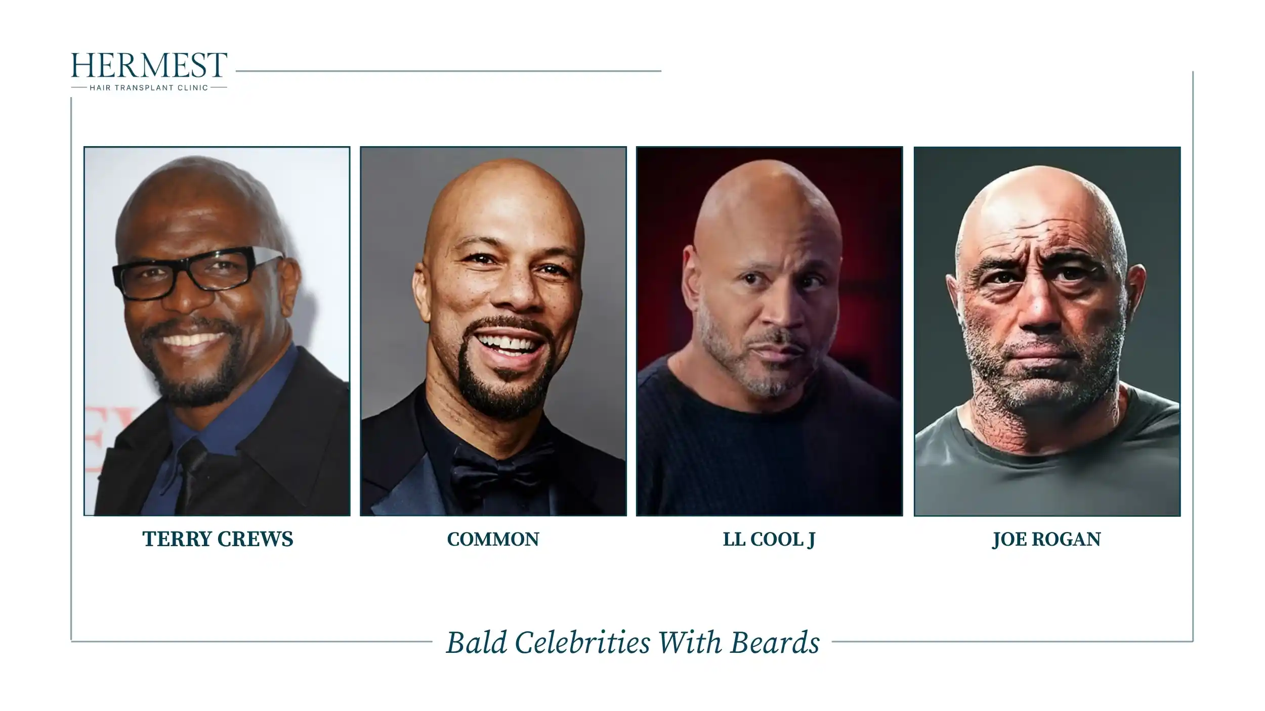 Bald celebrities with beards: Terry Crews, Common, LL Cool J and Joe Rogan